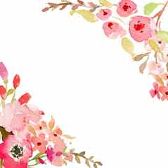 水彩花框架背景水彩花问候卡白色背景美丽的粉红色的花