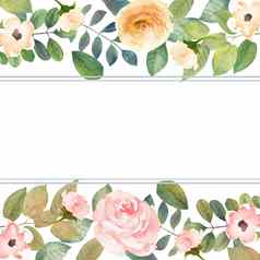 水彩花框架背景几何植物设计框架元素孤立的插图白色背景