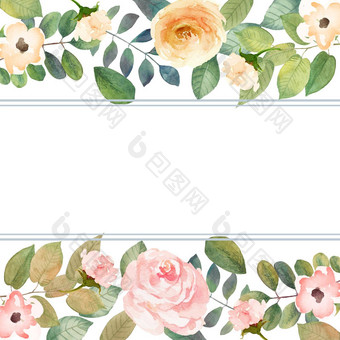 水彩花框架背景几何植物设计框架元素孤立的插图白色背景