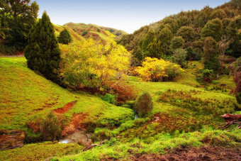风景优美的秋天谷新西兰景观谷新西兰秋天
