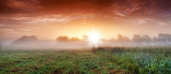 有雾的<strong>日出农场</strong>风景如画的<strong>农场</strong>场景覆盖早期早....雾