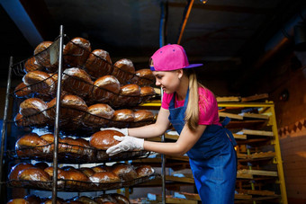 年轻的女孩作品面包店把面包架子上女人贝克工作场所面包店专业贝克持有面包手面包生产概念