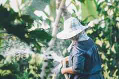 女人园丁浇水植物树花园