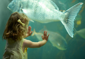 不要女孩郊游水族馆