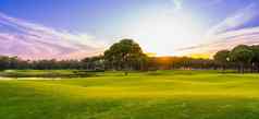 高尔夫球全景日落美丽的天空风景优美的全景视图高尔夫球松树