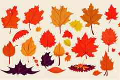 秋天作文框架使色彩斑斓的叶子白色