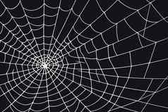 蜘蛛网络集孤立的黑暗背景令人毛骨悚然的万圣节