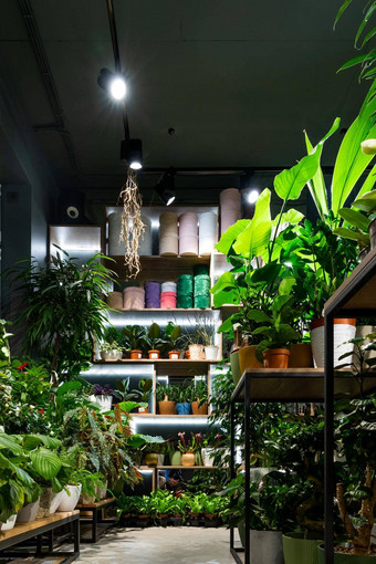 室内植物区系商店销售盆栽植物花束阁楼风格