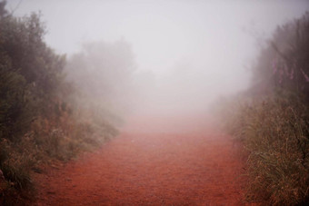 路径风景优美的拍摄运行小道有雾的早....