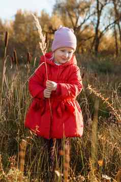 女孩红色的外套走自然秋天格罗夫季节秋天