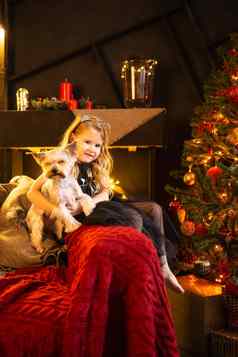 女孩节日装沙发狗圣诞节树装饰花环气球圣诞节玩具概念冬天假期圣诞节一年假期