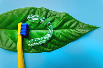 明亮的牙刷塑料调整器谎言多汁的绿色叶蓝色的背景前视图