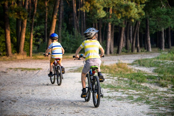家庭公园自行车兄弟姐妹兄弟孩子们男孩竞争骑视图回来