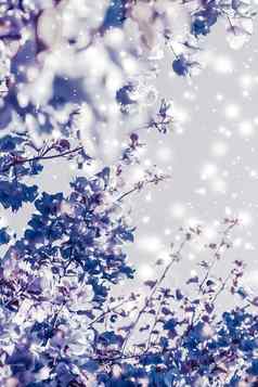 圣诞节年紫色的花自然背景假期卡设计花树雪闪闪发光的冬天季节出售背景奢侈品美品牌