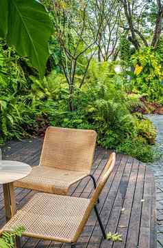 编织椅子家具绿色自然蕨类植物树热带花园