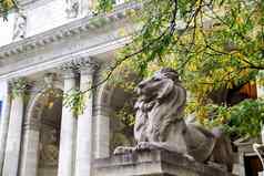 狮子雕塑步骤纽约公共图书馆秋天