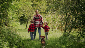 年轻的家庭妈妈兄弟双胞胎男孩运行小狗小猎犬号狗绿色公园花园快乐妈妈。孩子们爱自由未来概念