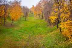 秋天景观10月公园视图路径色彩斑斓的落叶树