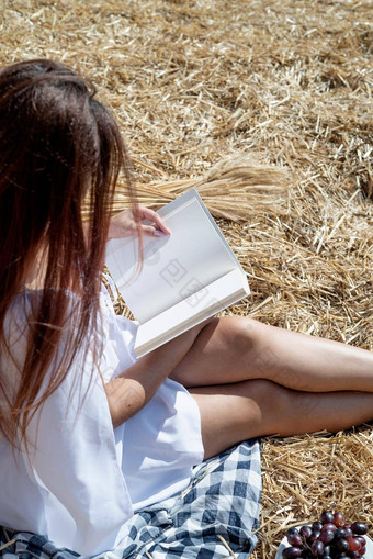 年轻的女人白色衣服坐着干草堆收获场阅读空白书书模型