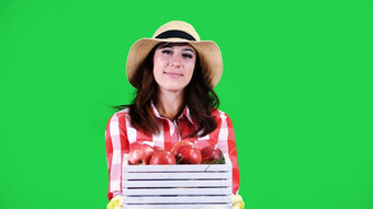 肖像微笑女农民网纹衬衫他持有木盒子红色的成熟的有机苹果绿色背景工作室健康的食物表格