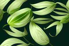 奢侈品自然绿色背景花模式金split-leaf