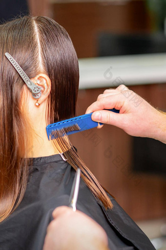 理发师分长头发部分梳子年轻的高加索人浅黑肤色的女人女人头发沙龙一边视图