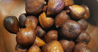 集团蛇水果被称为白痴当地的印尼语言科学salacca扎拉卡