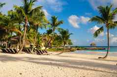 热带天堂多米尼加共和国塞舌尔加勒比毛里求斯菲律宾巴哈马群岛放松远程天堂海滩古董