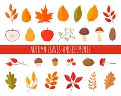 集秋天叶子元素简单的卡通平风格