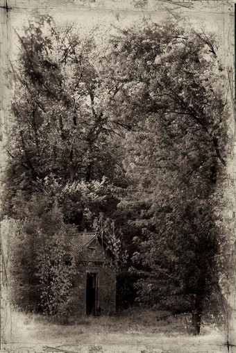 被遗弃的<strong>房子</strong>建筑破旧的森林令人毛骨悚然的难看的东西腐烂的照片多云的天空黑暗森林摄影黑色的白色照片<strong>房子</strong>森林古董照片<strong>房子</strong>森林