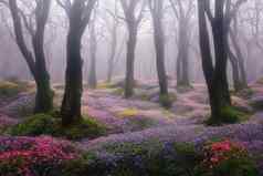 被施了魔法春天童话森林完整的花