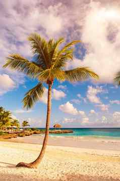 热带天堂多米尼加共和国塞舌尔加勒比毛里求斯菲律宾巴哈马群岛放松远程天堂海滩古董