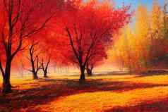 色彩斑斓的秋天景观秋天季节红色的橙色