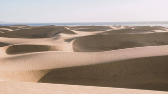 沙子沙丘海滩Maspalomas大加那利岛日出