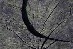 灰色的木木纹理裂纹