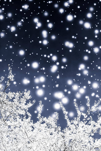 圣诞节年黑色的花背景假期卡设计花树雪闪闪发光的冬天季节出售促销活动背景奢侈品美品牌