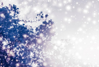 圣诞节年紫色的花自然背景假期卡设计花树雪闪闪发光的冬天季节出售背景奢侈品美品牌