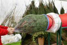 推销员包装圣诞节树包装塑料网