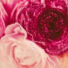 古董花束盛开的玫瑰背景优雅的花现在浪漫的礼物花奢侈品婚礼品牌假期花园自然设计
