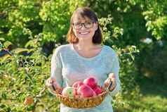 微笑女人收获成熟的红色的苹果篮子户外花园