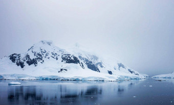 棕色（的）虚张声势南极洲图片