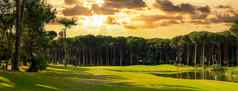 全景视图美丽的高尔夫球松树黎明天空云