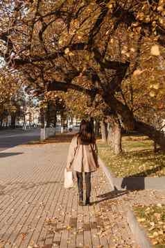时尚的浅黑肤色的女人女人走秋天城市季节秋天