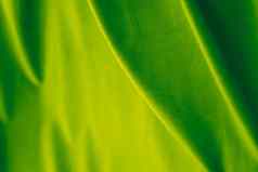 摘要绿色织物背景天鹅绒纺织材料百叶窗窗帘时尚纹理首页装饰背景奢侈品室内设计品牌