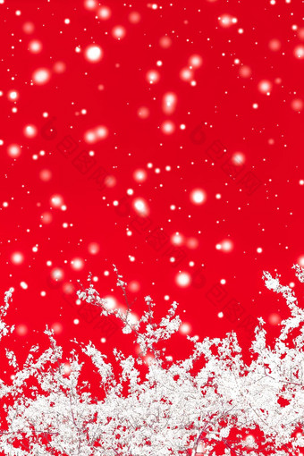 圣诞节年红色的花背景假期卡设计花树雪闪闪发光的冬天<strong>季</strong>节出售<strong>促销</strong>活动背景奢侈品美品牌