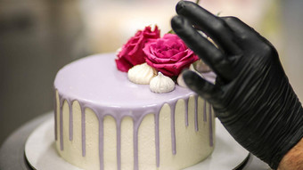 设计师装修前磨砂淡紫色浪漫的快乐生日蛋糕标志