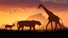 世界野生动物一天组野生野兽聚集大牛群开放场晚上金太阳闪亮的