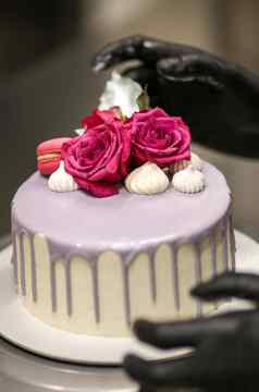 设计师装修前磨砂淡紫色浪漫的快乐生日蛋糕标志