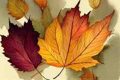 秋天叶子水彩插图装饰元素