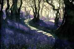 路径紫色的野风信子森林早期早....日出